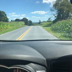 Meet your Posher, Ann